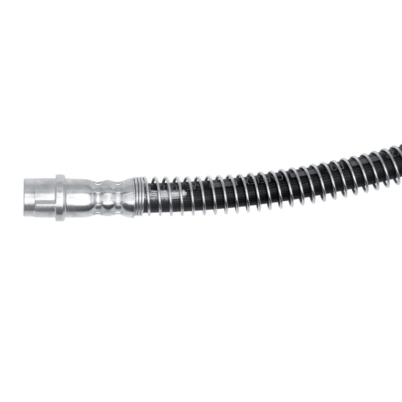 Mercedes-Benz AMG GT Brake Hose - Rear - R1 Concepts - `18-`21